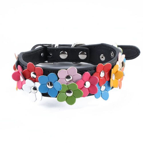 Colours Flower Studded Dog Coller Collar Pu Leather Pet Puppy Cat Neck Strap: Black / M
