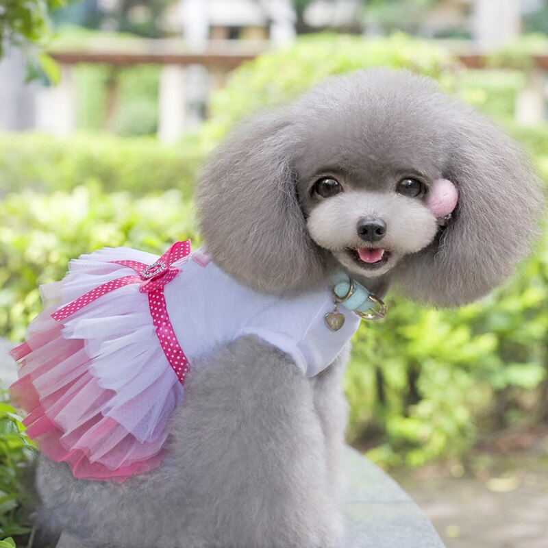Summer Dress For Dog Pets Dog Clothes Ballet Dress Skirt Puppy Clothing Spring Dresses For Dogs Lace Pet Clothes XS-XL
