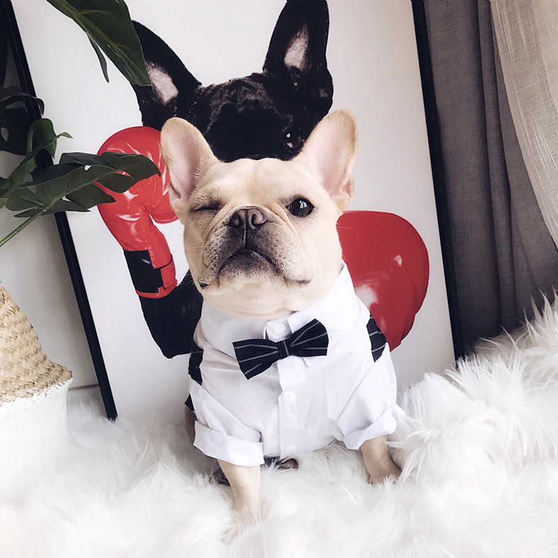 Hund bröllopskläder hundkostym smoking kläder för hundar kostym fluga husdjur kläder för hundar mops fransk bulldog katt husdjurstillbehör