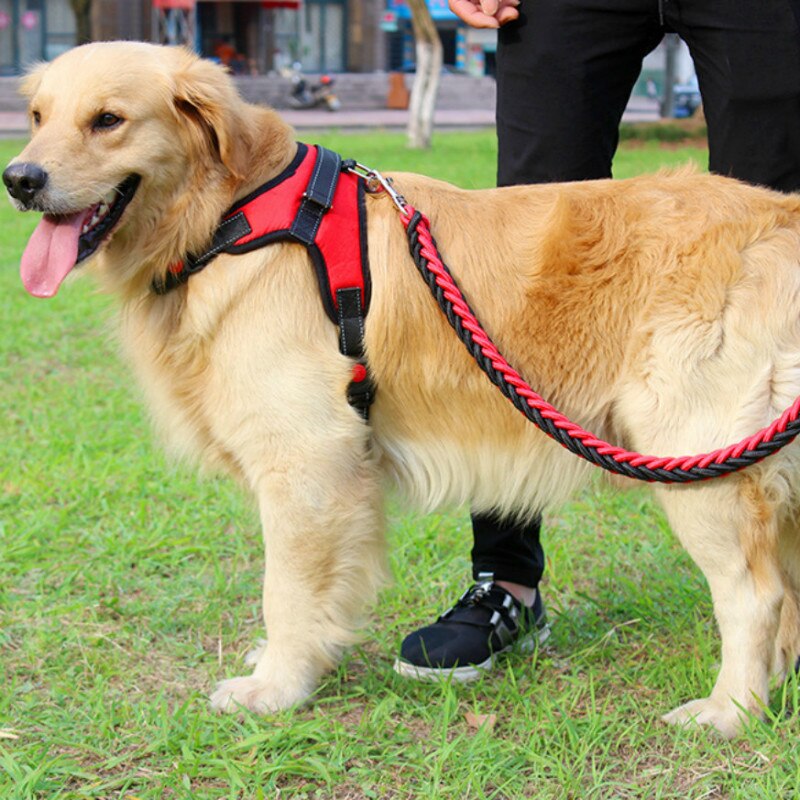 Dog Harness for Large Dogs Breast Strap Gradient Color Double Breathable Mesh Reflective Chest Back Factory