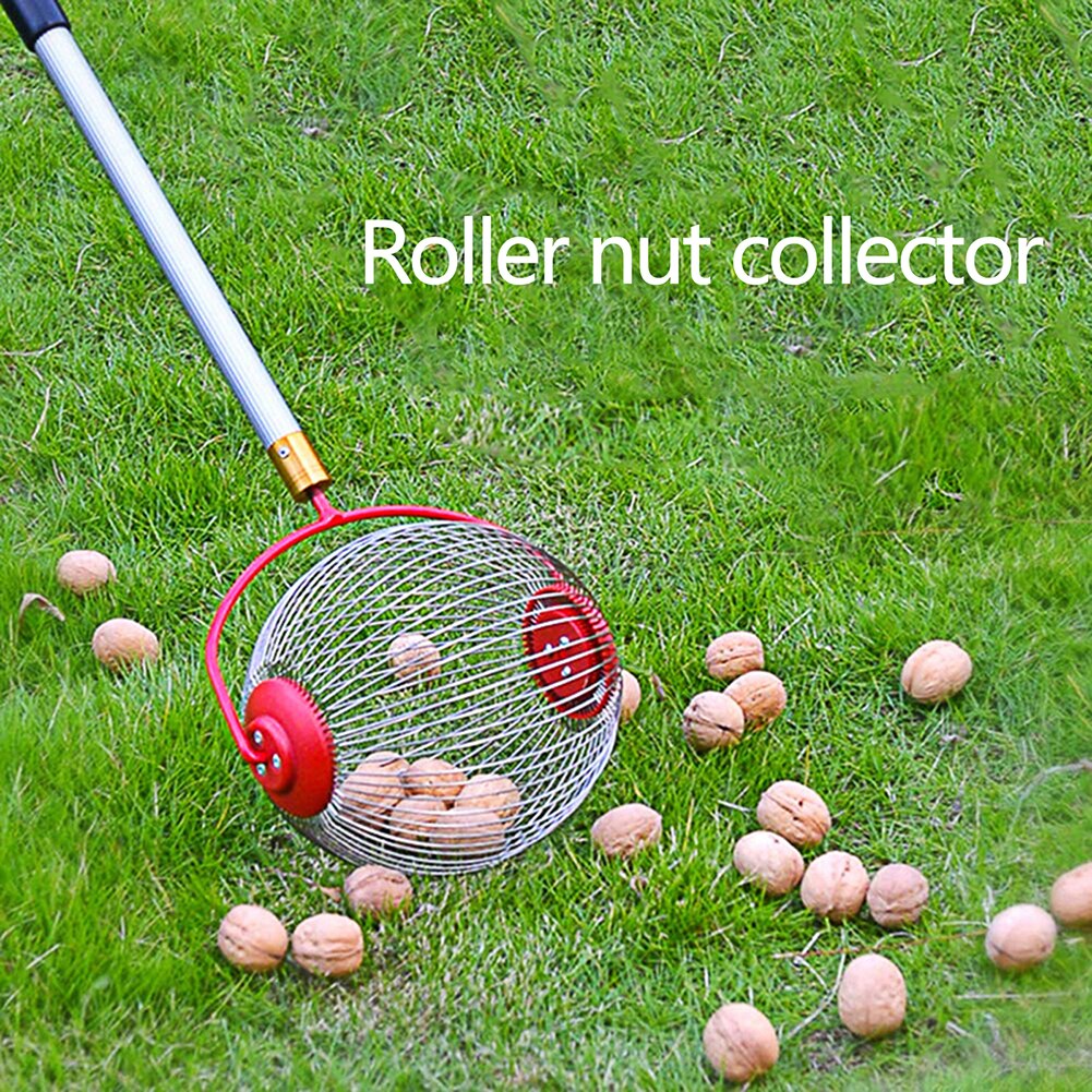 Extracteur de noix en alliage d'aluminium, rouleau collecteur de noix, boule rétractable de jardin cueilleur de fruits outil de vergers familial
