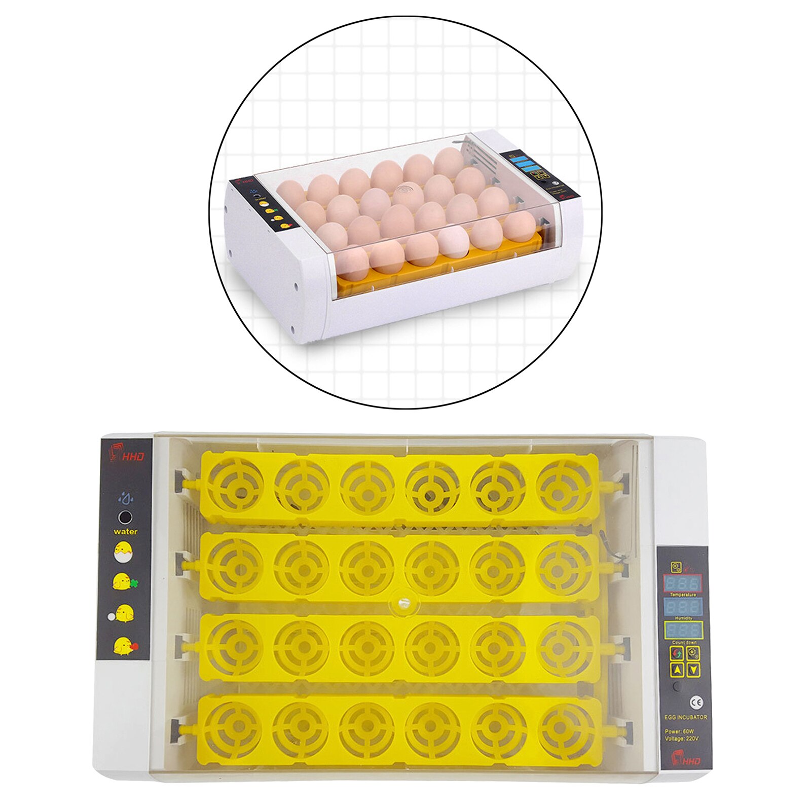 Digital Egg Incubator Hatcher w Temperature Control Automatic Turning 24Eggs
