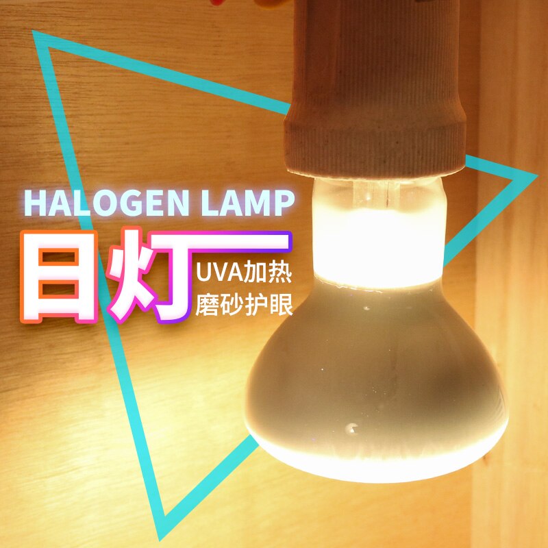 Repitle daytime UVA Heating Turtle Lamp pet Lighting tortoise Lizard Frog snake heat reptiles light bulb all for aquarium