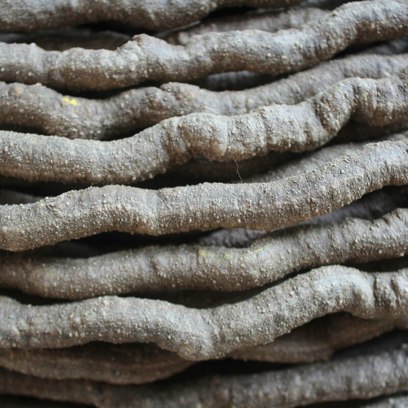 Terrario Flexible para Reptiles de jungla, trepador de jungla Flexible, suministros para mascotas, Reptiles, terrario, accesorios de decoración: 9MM-1 meters