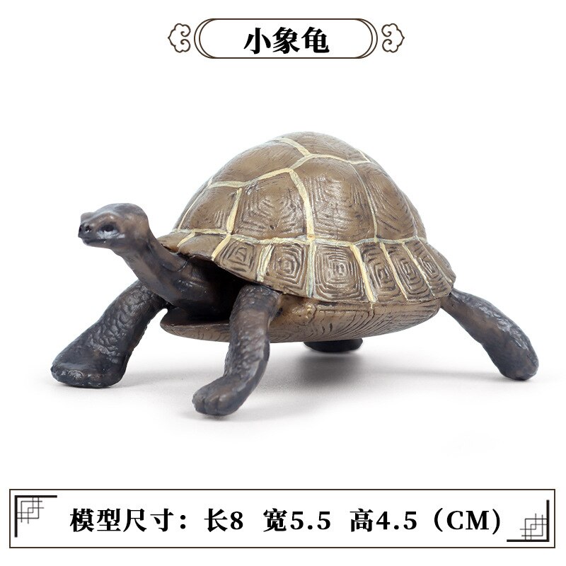 Simulatie Oceaan Dier Zeeschildpad Serie Miniatuur Model Action Figures Collection Cognitie Creativiteit Speelgoed Voor Kinderen: M-518