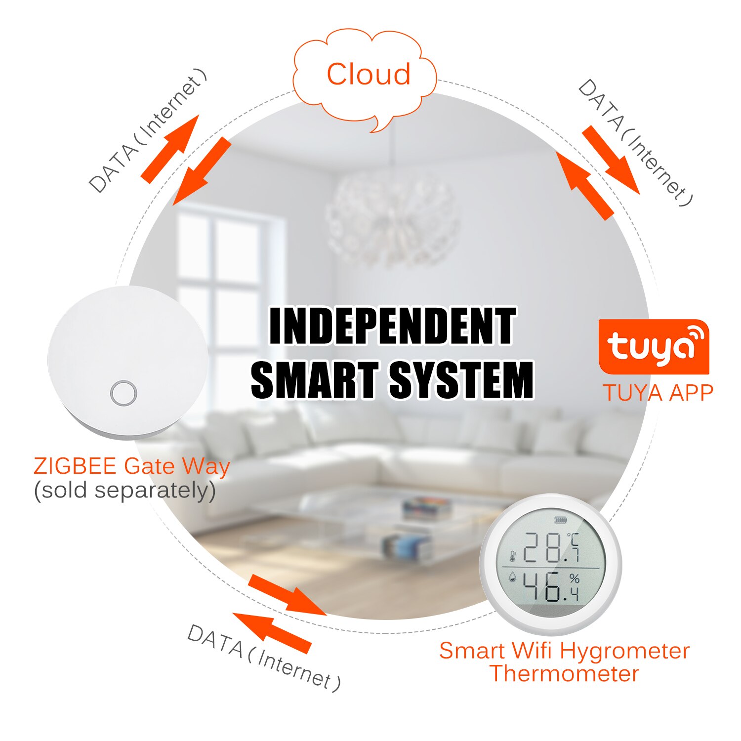 Wifi termometer hygrometer smart fugtighed temperatur sensor måler med app notifikation alarm hjem kæledyr garage cigar humidor