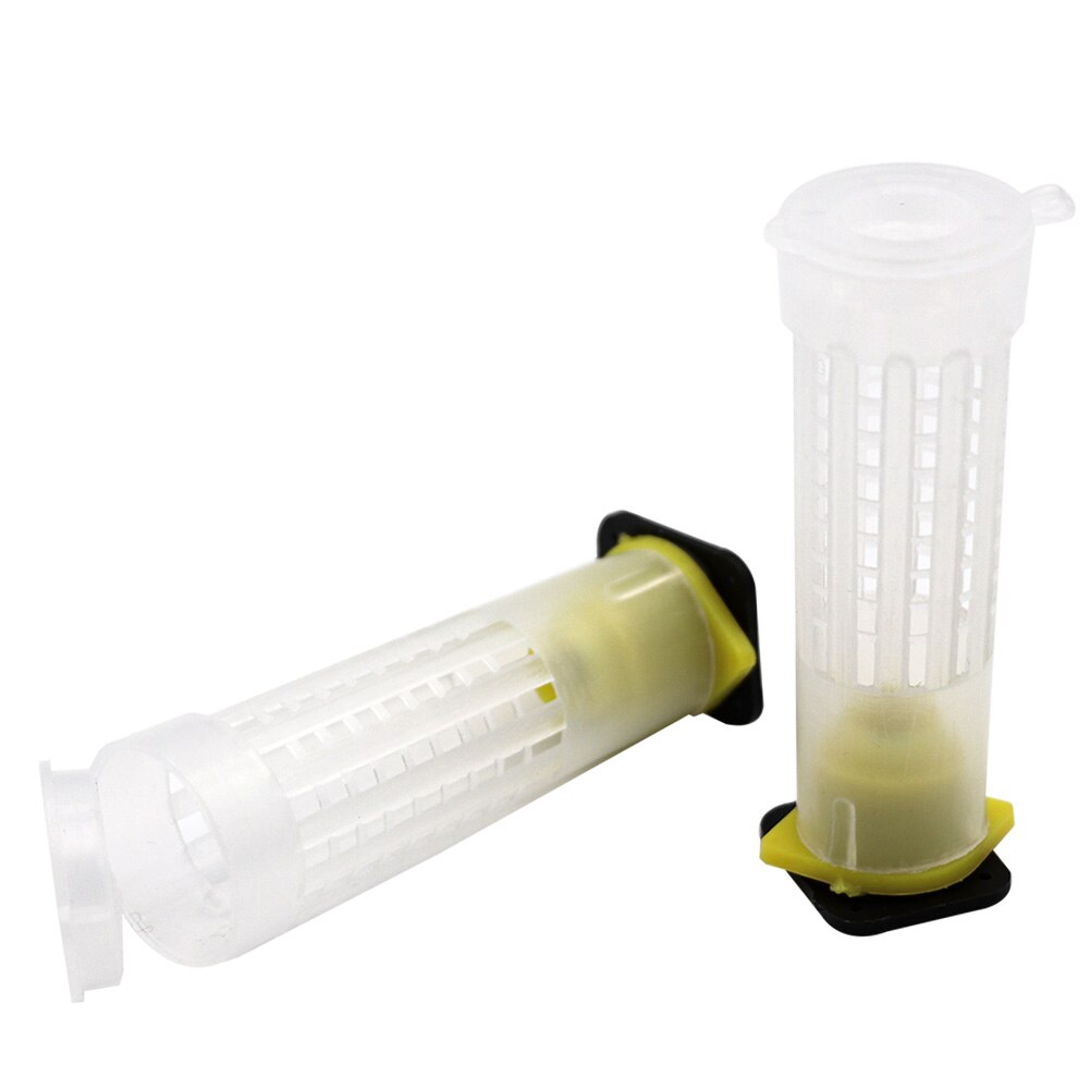 20/50/100 stk biavl opdræt kop kit dronning bi hår rullebure plast bi celle kopper biavl værktøj udstyr sæt