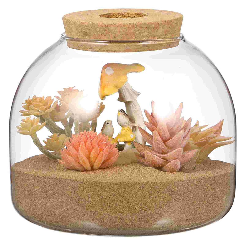 Kurk Glazen Fles Plant Terrarium Grote Micro Landschap Bloempotten Ecosysteem Kleine Container Beugel Koekjestrommel Kantoor