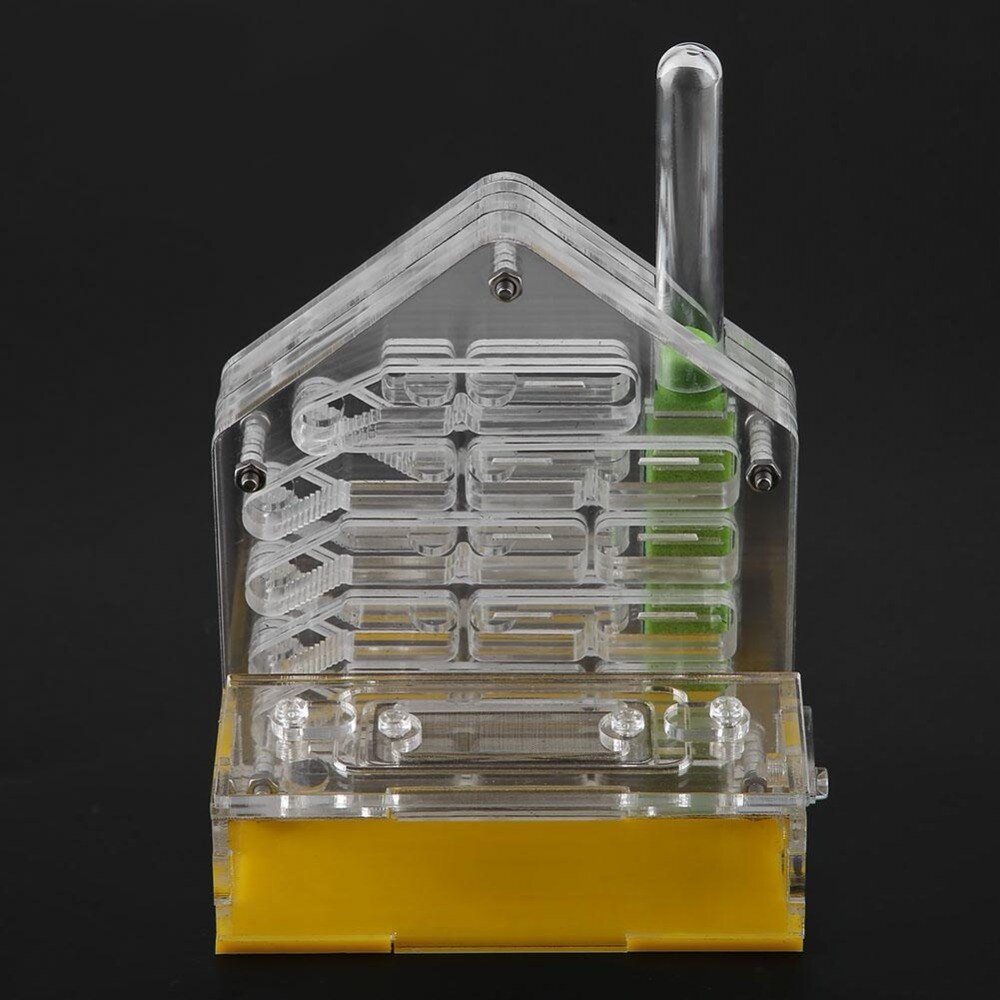 DIY with feeding area Ant Farm with Feeding Ant Nest Villa Insect Pet Anthill Workshop