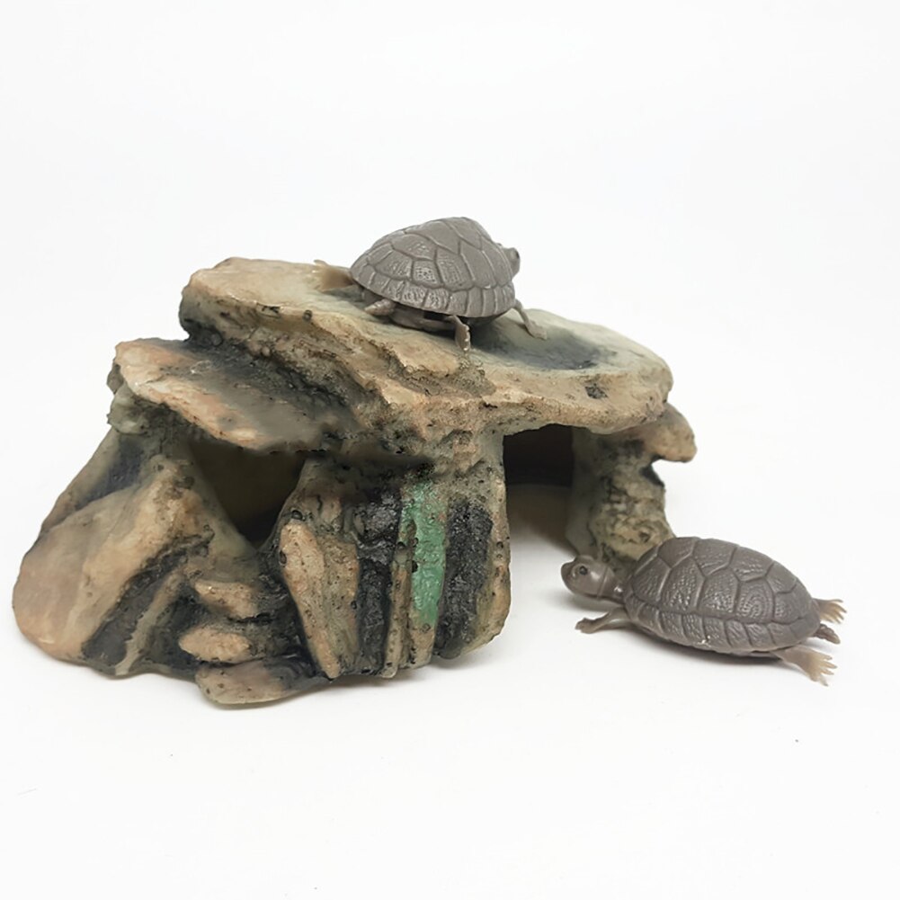 Schildpad Reptiel Eiland Dock Koesteren Platform Aquarium Aquarium Simulatie Rock