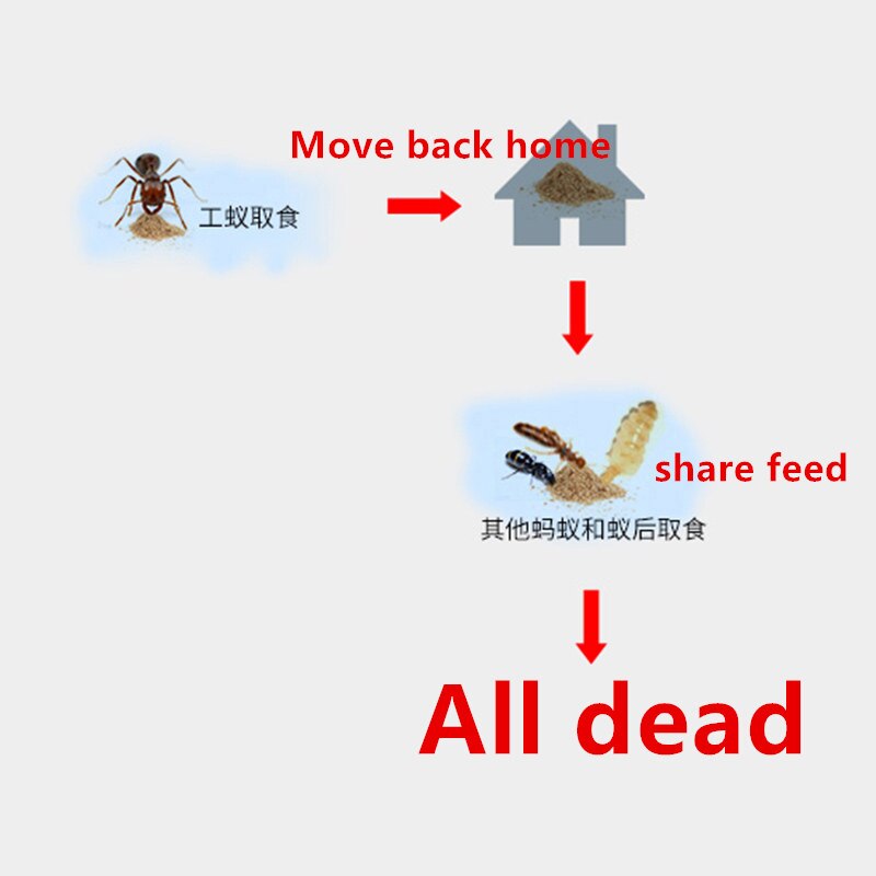 ZOCDOU-Polvo de cebo de hormiga, 3 piezas, amarillo, negro, blanco, termitas, efectos medicinales, para matar, nido