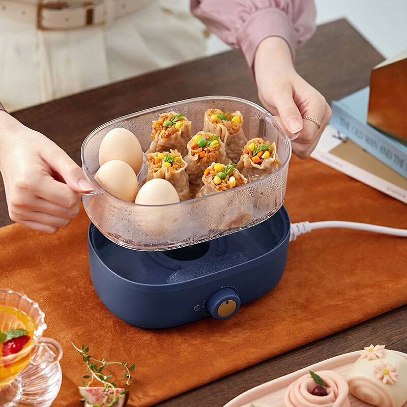 220V 2L Electric Household Steaming Cooker Multi Cooker Breakfast Maker With Timer Portable Electric Egg Food Steamer Pot