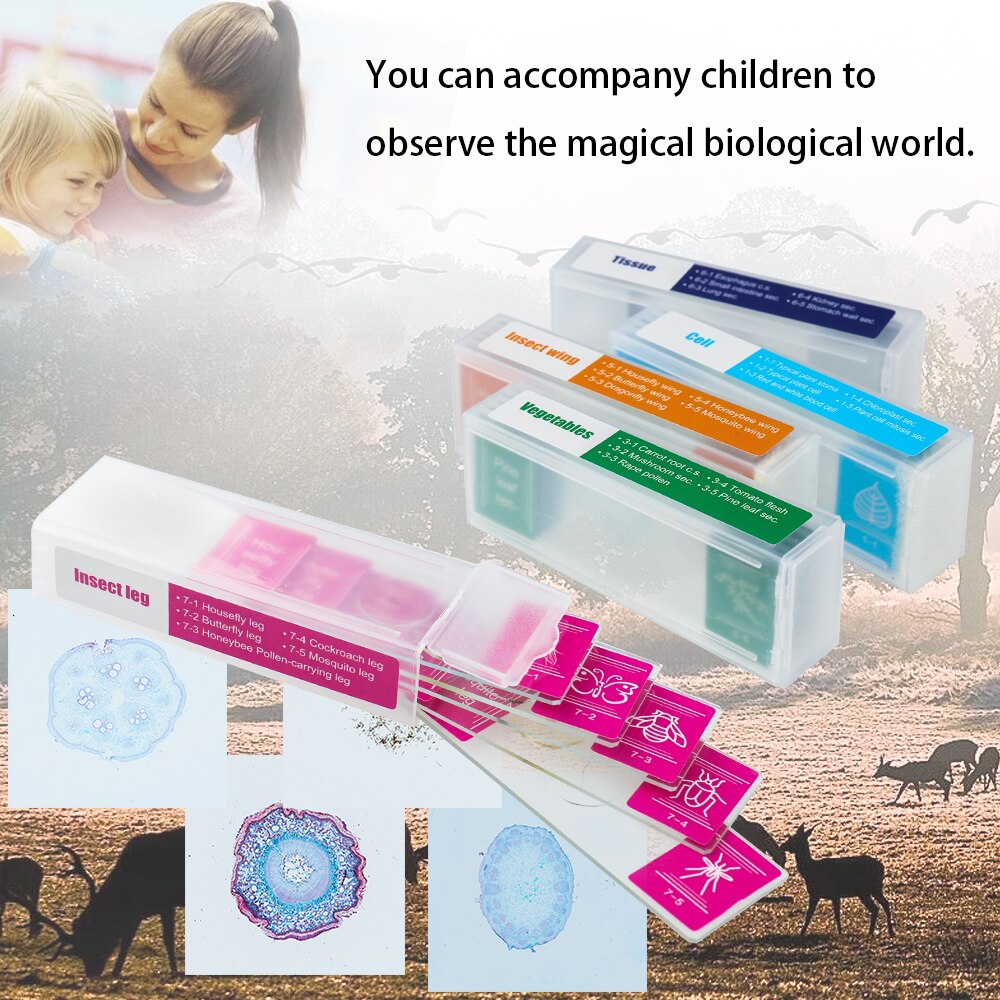 35 Piece of Colorful Microscope Specimens Biological Specimen Slides Primary and Secondary