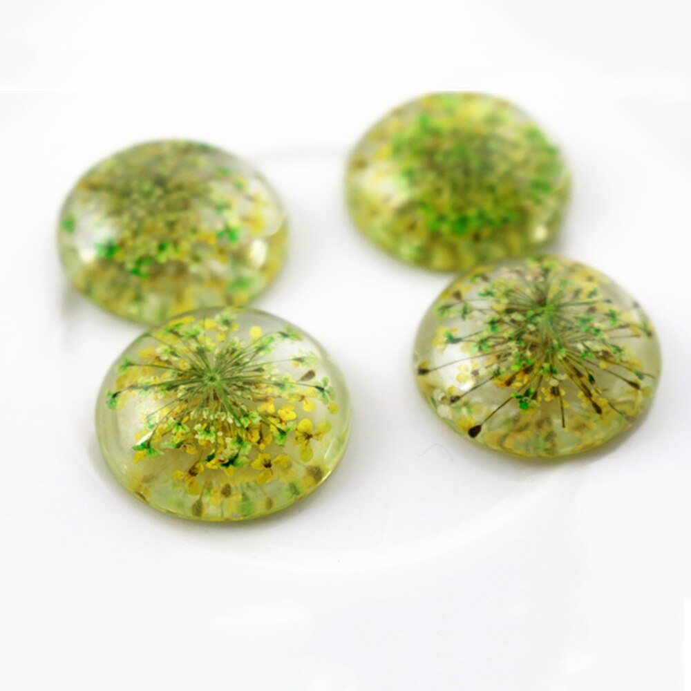 5pcs 25mm Mixed Natural Dried Flowers Flat Back Resin Cabochons Cameo