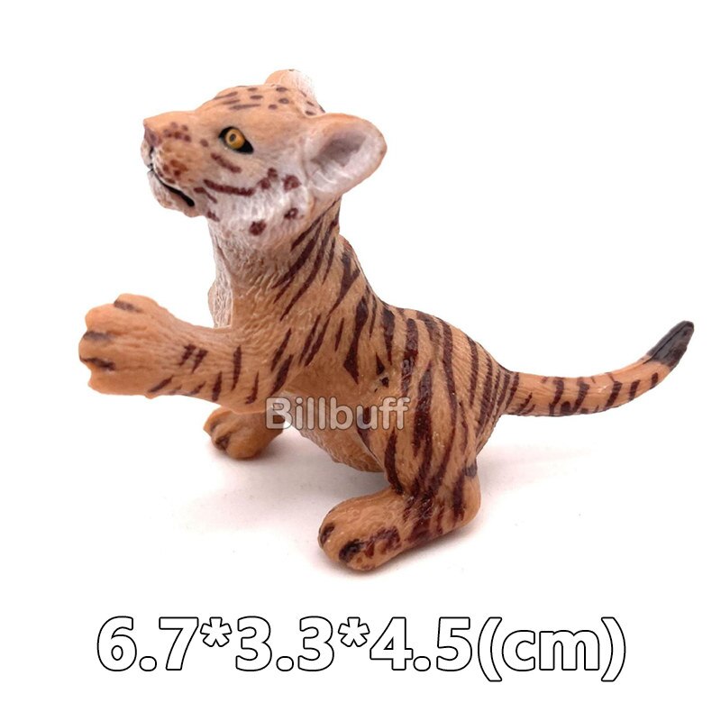 Simulation Wilden Ebene Weiß Tiger Tigerin Männlichen Tiger Modell Aktion-figuren Figuren Sammlung FrüHenne Bildung Spielzeug für freundlicher: Tiger Zahlen g