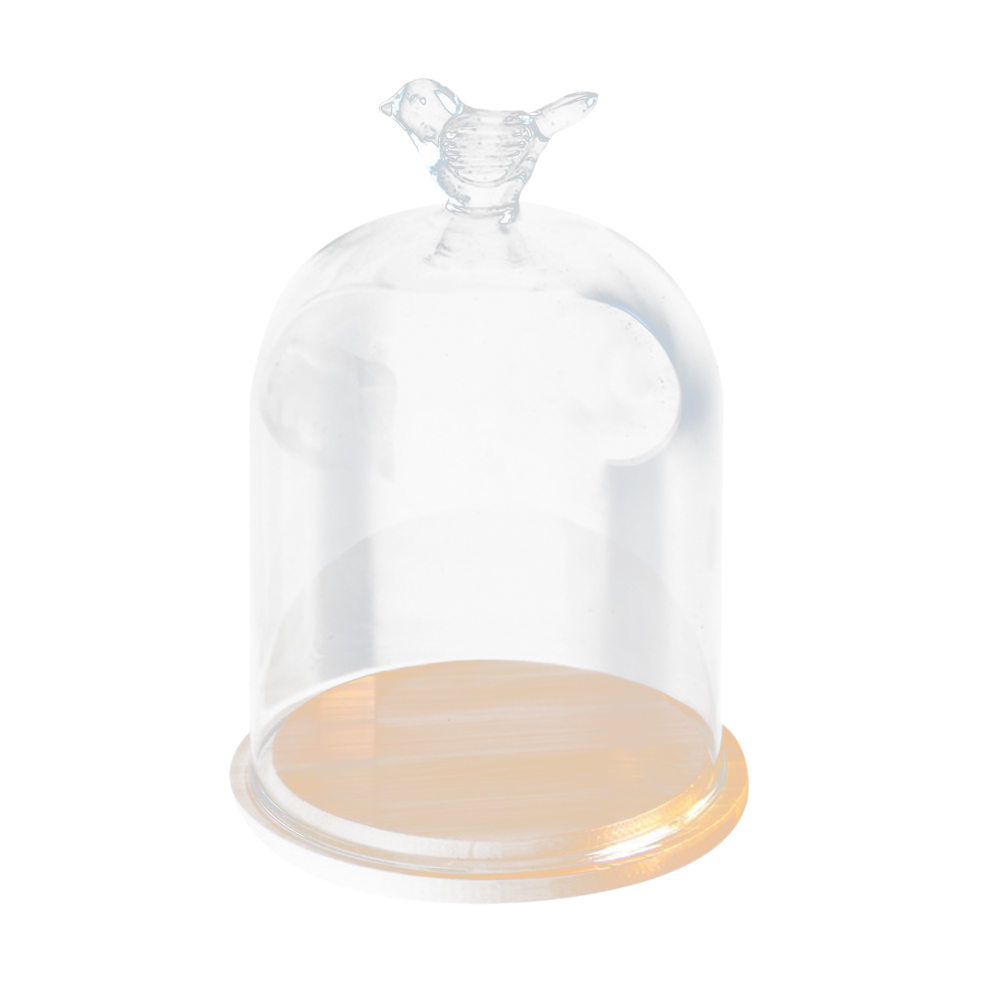 Vases clairs verre fleur affichage Cloche Cloche pot dôme immortel conservation avec Base en bois fleur verre couverture décor à la maison