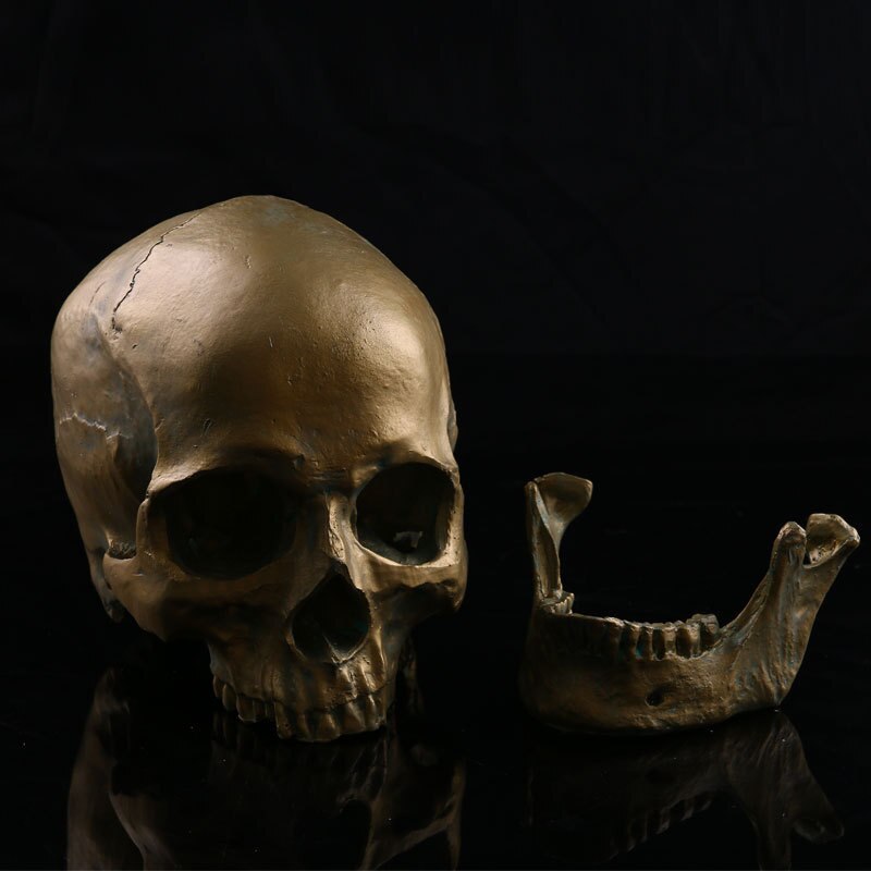 Medische schedel model simulatie hars schedel Halloween skelet hoofd decoratie antieke koperen schedel model