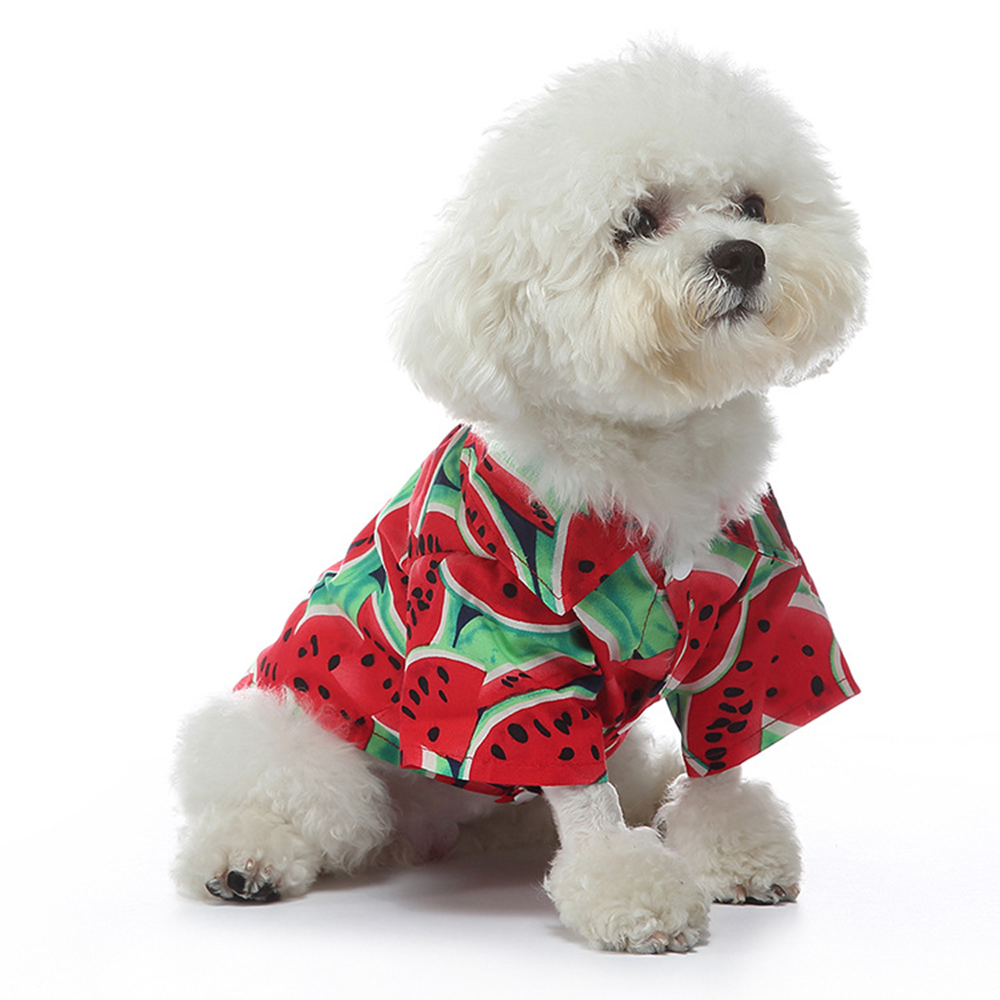 Chemises imprimées de fruits pour animaux de compagnie, T-shirt pour chien, Manteau fin, Veste pour chiot, Vêtements pour chat, Tenues pour petits chiens, Tenues de Schnauzer