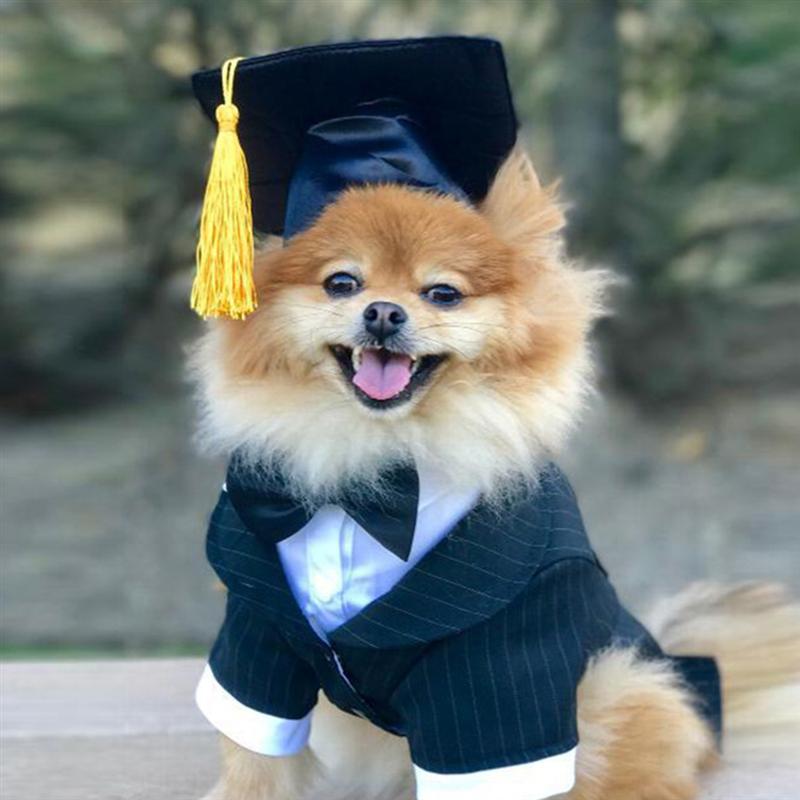 1PC Tassels Black Funny Dog Graduation Cap – Grandado