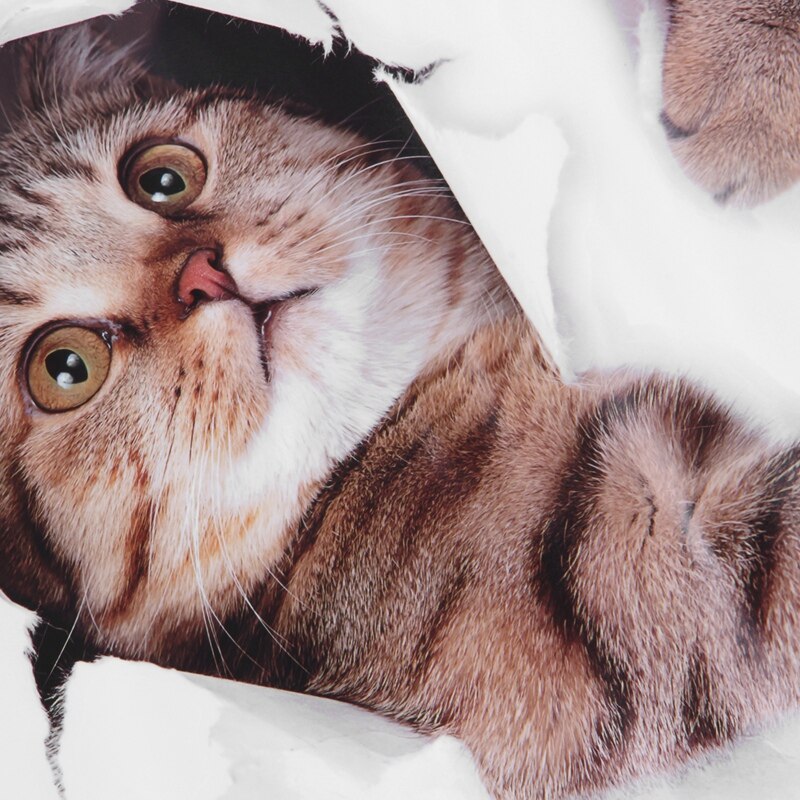 3D Removable Large Cat Stickers Cartoon Funny Cat to Stick Safe Art