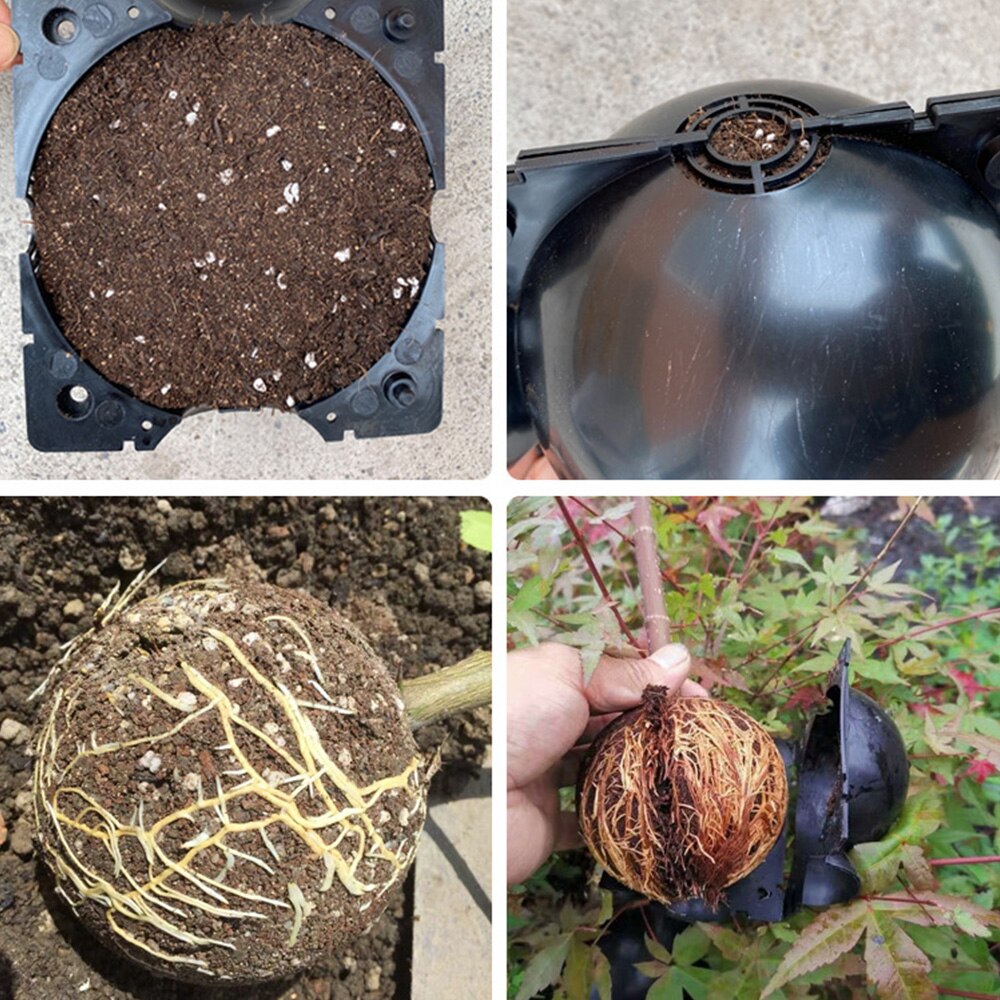 5/8/12cm Plant Rooting Growing Box Plant Rooting Box Case Rooting Ball Plastic Flower Container Nursery Trays Indoor Garden Tool