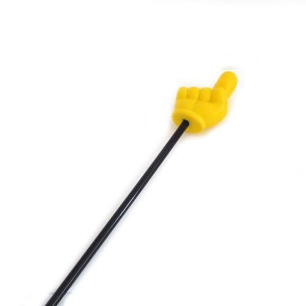 -Pointing stick indication stick nominate gesture stick