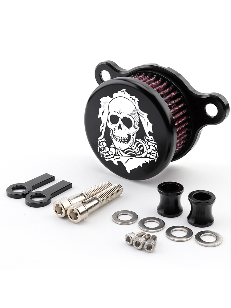 Système d'admission de filtre à Air de crâne de moto pour Harley Sportster XL883 XL1200 Iron 883 quarante-Eghit soixante-deux Nightster: Marron