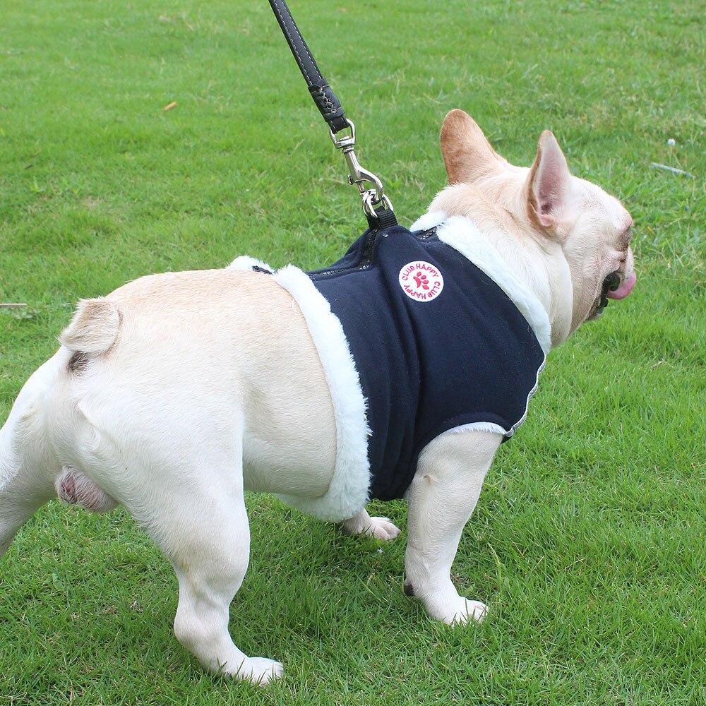 Wolle gepolstert Haustier nutzbar machen Weste und 1,5 M Leine einstellen Für Französisch Bulldogge Mops Keine ziehen Winter Warme Katze Kleidung reflektierende Hund Geschirre