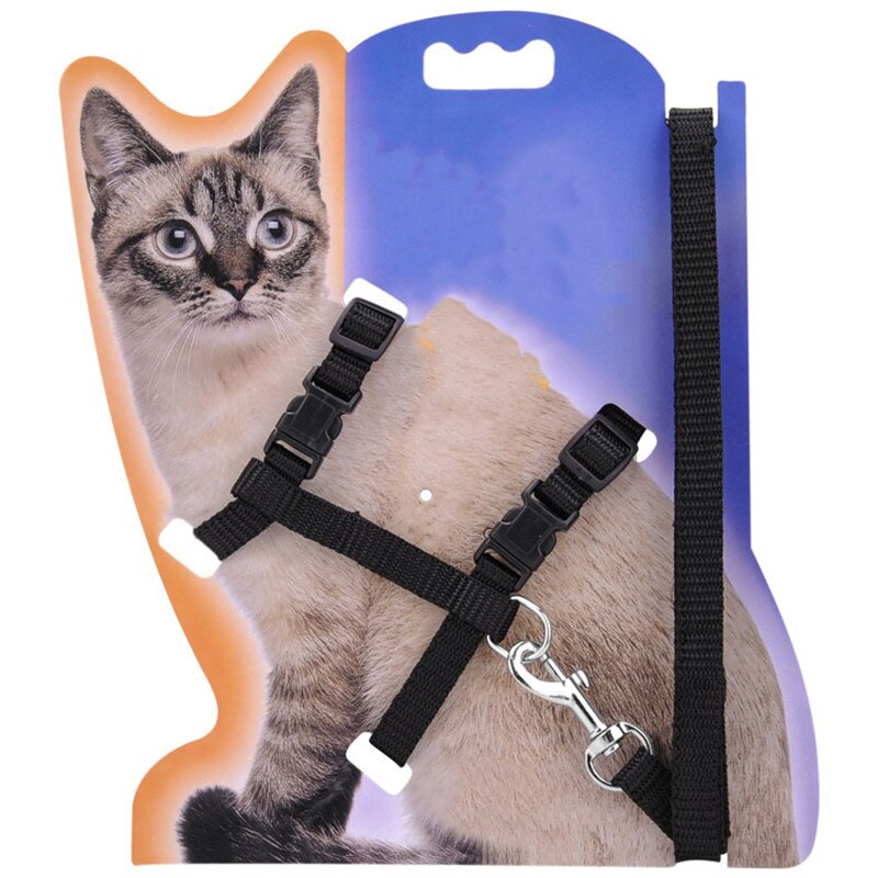 View of Cat Collar Harness and Leash 4 Colors Nylon Produc... – Vicedeal