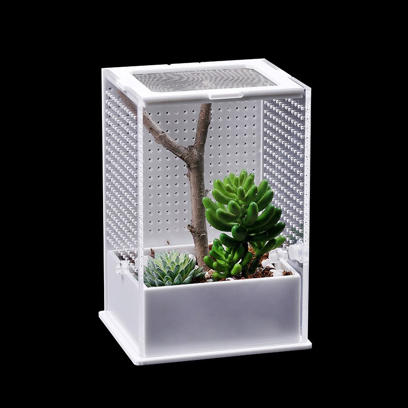 1PCS Pet Products Entomological Raising Box Insect Feeding Box and Landscape Villa Insect Box Insect Supplies