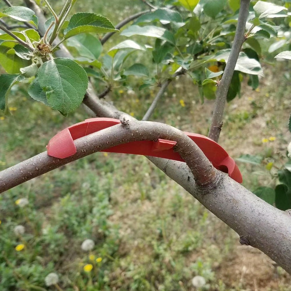 100 Uds. Doblador de ramas de árbol de Frutas de plástico, herramienta de jardín, dispositivo de fijación de ramas de árbol, modulador de planta, ajustador de troncos, herramientas bonsái