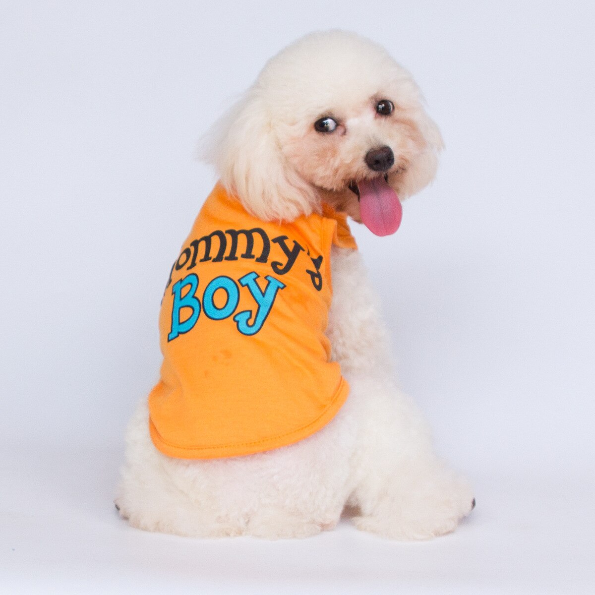 Hond Kleding Voor Kleine Jongen Hond Puppy Kleding Voor Chihuahua Yorkies Bulldog Clothespet Outfits Hond Shirt Kleding Accessoires