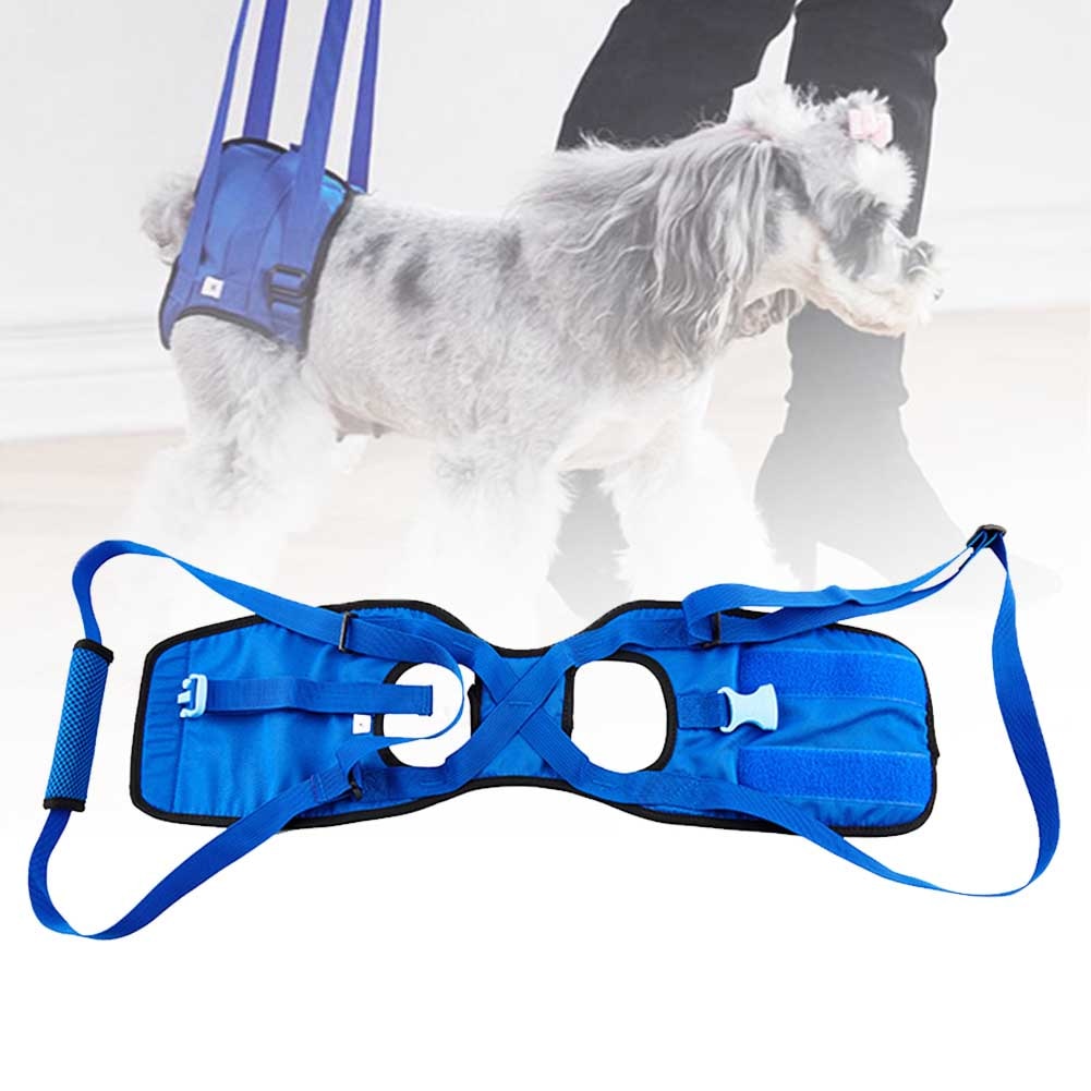 Dierbenodigdheden Uitgeschakeld Hond Ondersteuning Walking Helpen Harnas Draagbare Riem Elastische Mat Achterpoten Ledematen Carrying Revalidatie Oefening
