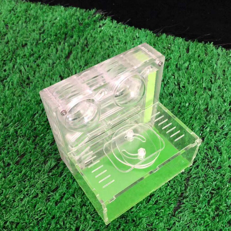 Transparent Ant Feeding Box Ornamental Feeding Nest Ant Farm Acrylic Mars Series: Style-B