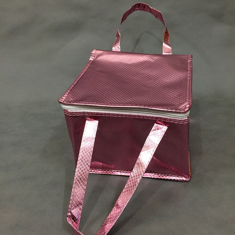 Insulated Picnic Cooler Bags Cake Pizza Lunch Picnic Box Insulated Cool Handbags Ice Pack Thermo Portable Insulation box DJFEN