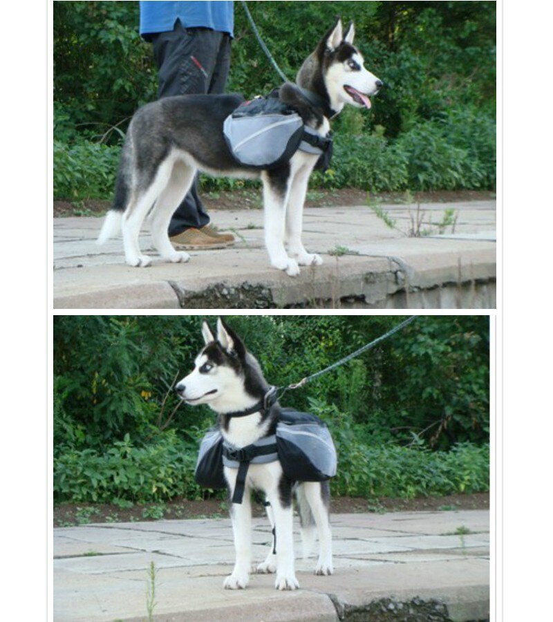 Hund Sattel Rucksack Reflektierende Tasche Sicherheit bei Nacht Mittel groß groß Hund Pack Tasche draussen Wandern Camping Ausbildung Haustier Träger TC