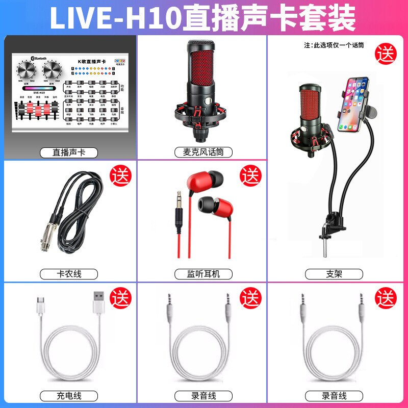 H10 del Suono Dal Vivo Insieme di Carta Del Telefono Mobile Del Microfono Del Computer Boccaglio di Ancoraggio Chiamata di Grano Apparecchi di Registrazione per Tutti I K Canzone Utile: Package 1  H10 Sound Card   Barley Head   Headset   MV Holder