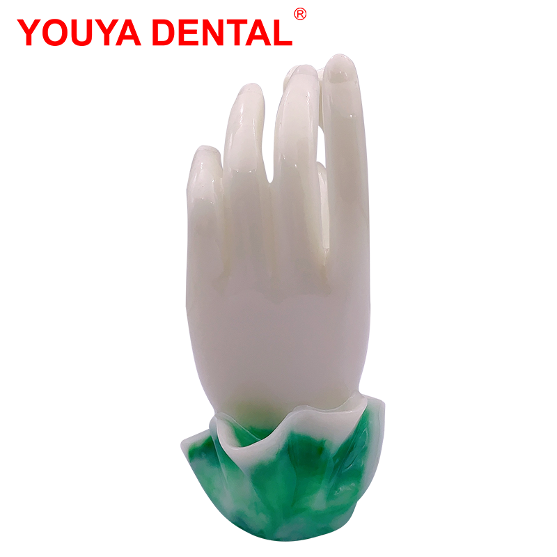 Dentistry Decoration Dentist Dental Figurines Tooth Jewelry Hand Sculpture Clinic Desktop Showcase Ornament Furnishings