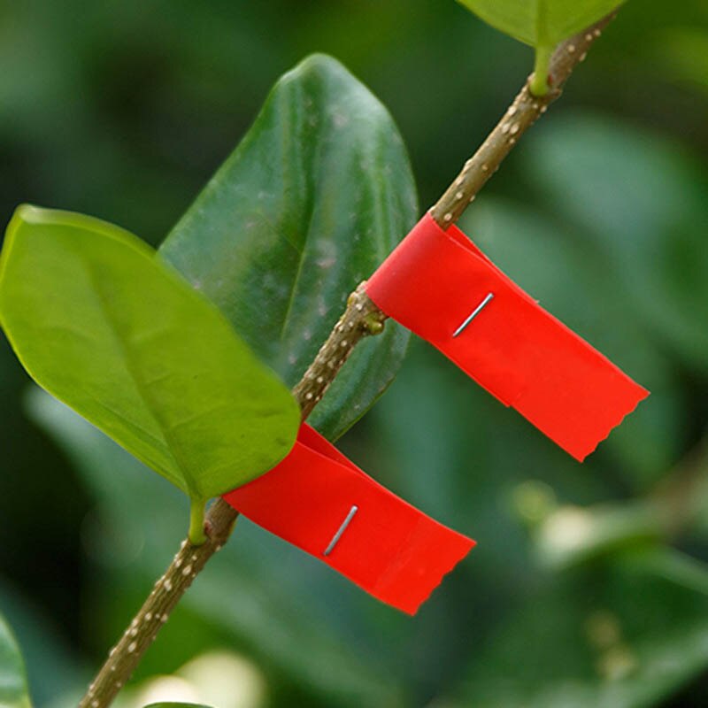 Cinta de jardín ramas de la vid cintas fijas de PVC portátil de encuadernación de la mano herramientas de la máquina de transplantamiento palos atados