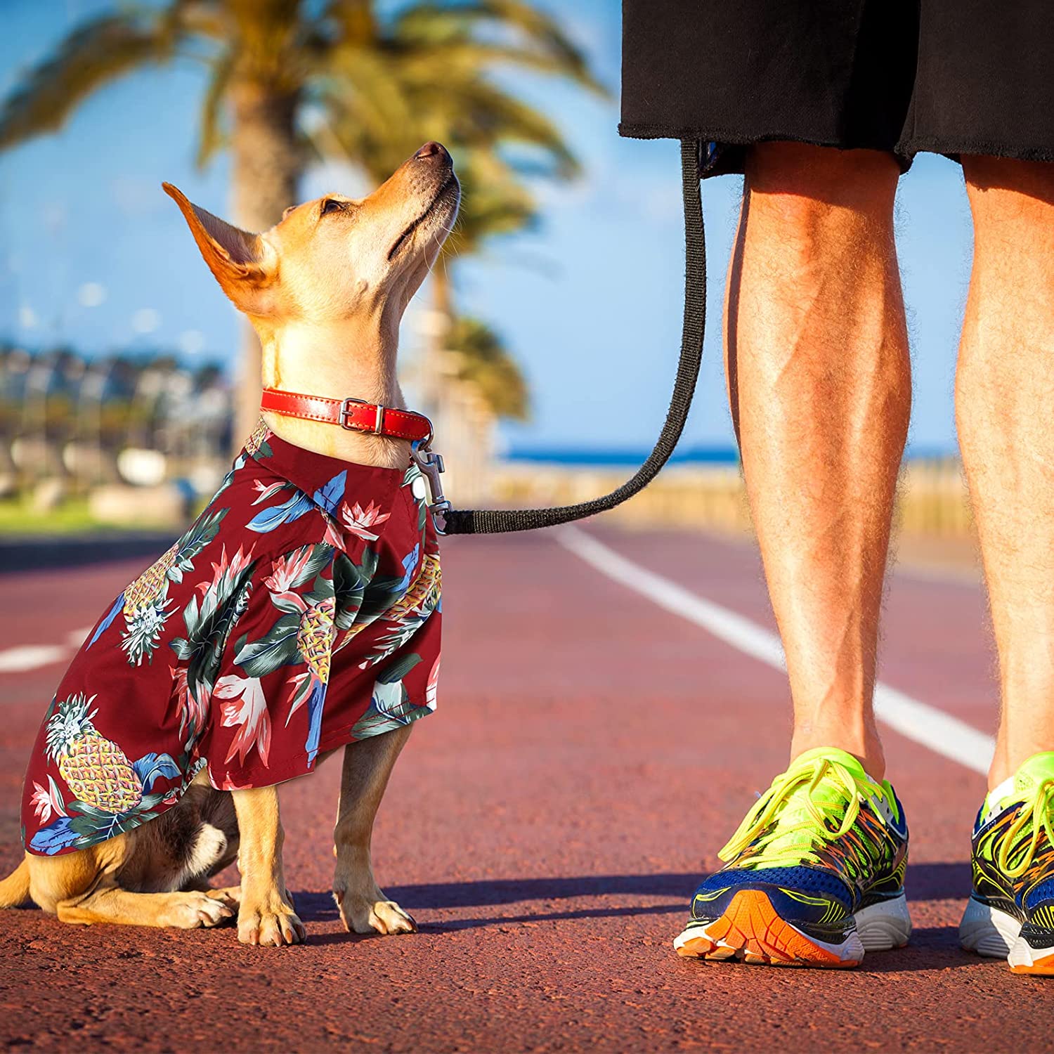 Camisetas hawaianas para perros y gatos, ropa con estampado de árbol de coco, traje para mascotas, 4 piezas