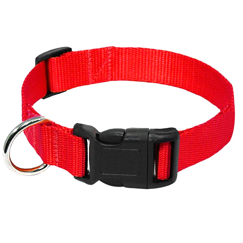 Dog Collar for Small Dogs Nylon Dog Collar Puppy Cat Collars Adjustable for Chihuahua Pug French Bulldog XS S M L: Red / XS