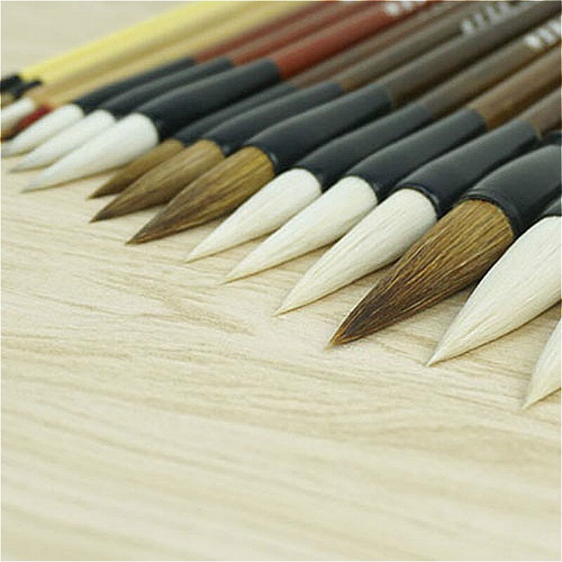 Chinese Schilderen Schrijven Borstel Set Professionele Nauwgezet Schilderen Freehand Bloem en Vogel Schilderij Aquarel Kalligrafie Pen