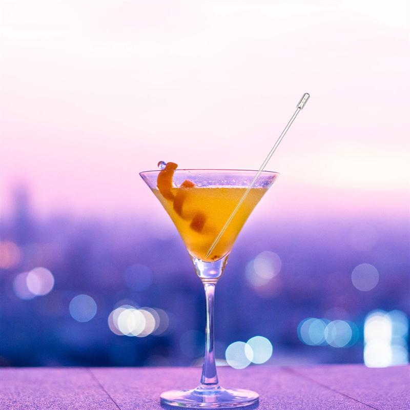 10 Pcs 304 Stainless Steel Food Picks Reusable Cylinder Shaped Cocktail Picks Dessert Fruit Picks For Dinner Party BBQ