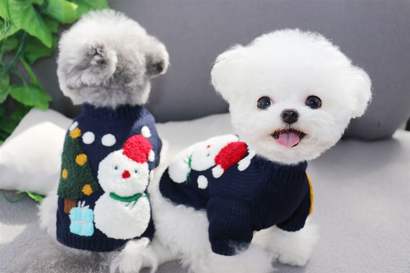 Pull de noël pour chien, manteau en tricot pour chat et chiot, vêtement pour petit chien, Yorkshire Terrier, chien maltais