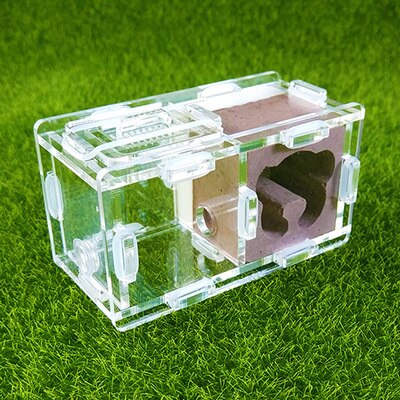 Maur slott maur spleise slott bionisk akryl gips maur reir kjæledyr maur slott verksted hjem maur reir: X4