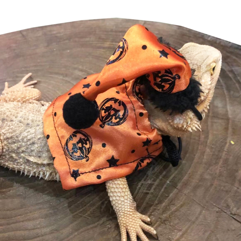 Conjunto de disfraz de lagarto ajustable, sombrero de Halloween de dragón barbudo y capa naranja con estampado de calabaza, suave y cómodo