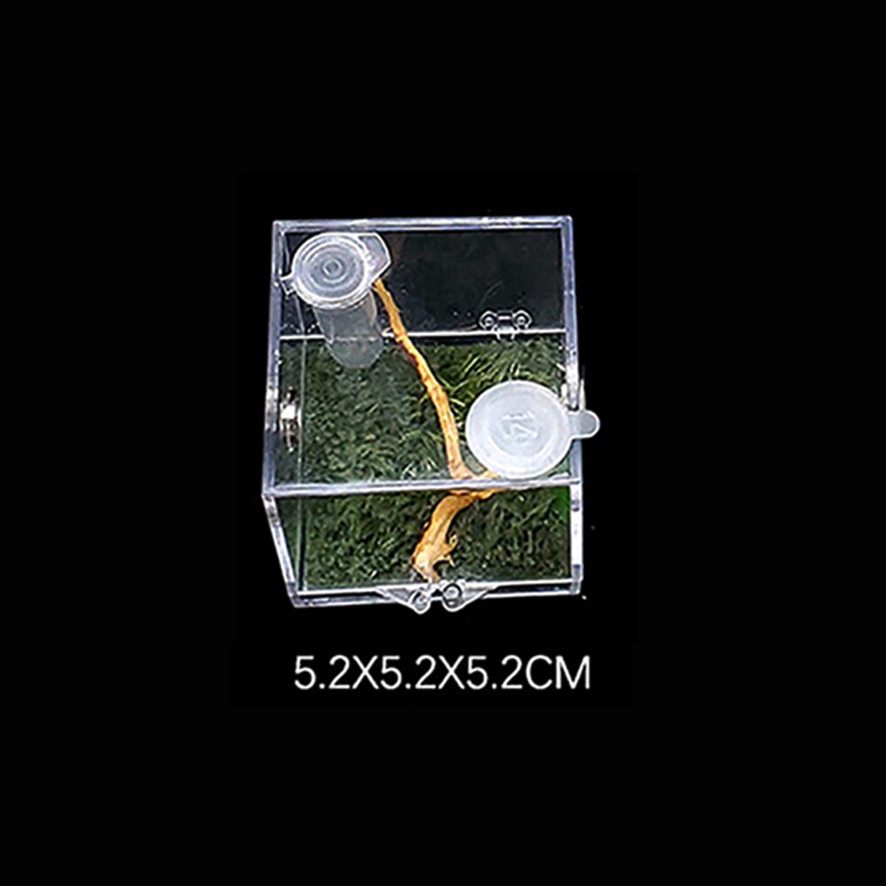 Caja de plástico para cría de insectos, jaula de alimentación transparente para araña saltamontes, Grillo, escorpión, escarabajo, Mantis: 5.2x5.2x5.2cm
