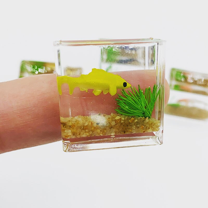 12 Simulatie Miniatuur Glas Koi Aquarium Vierkante Aquarium Poppenhuis Accessoires Thuis Model