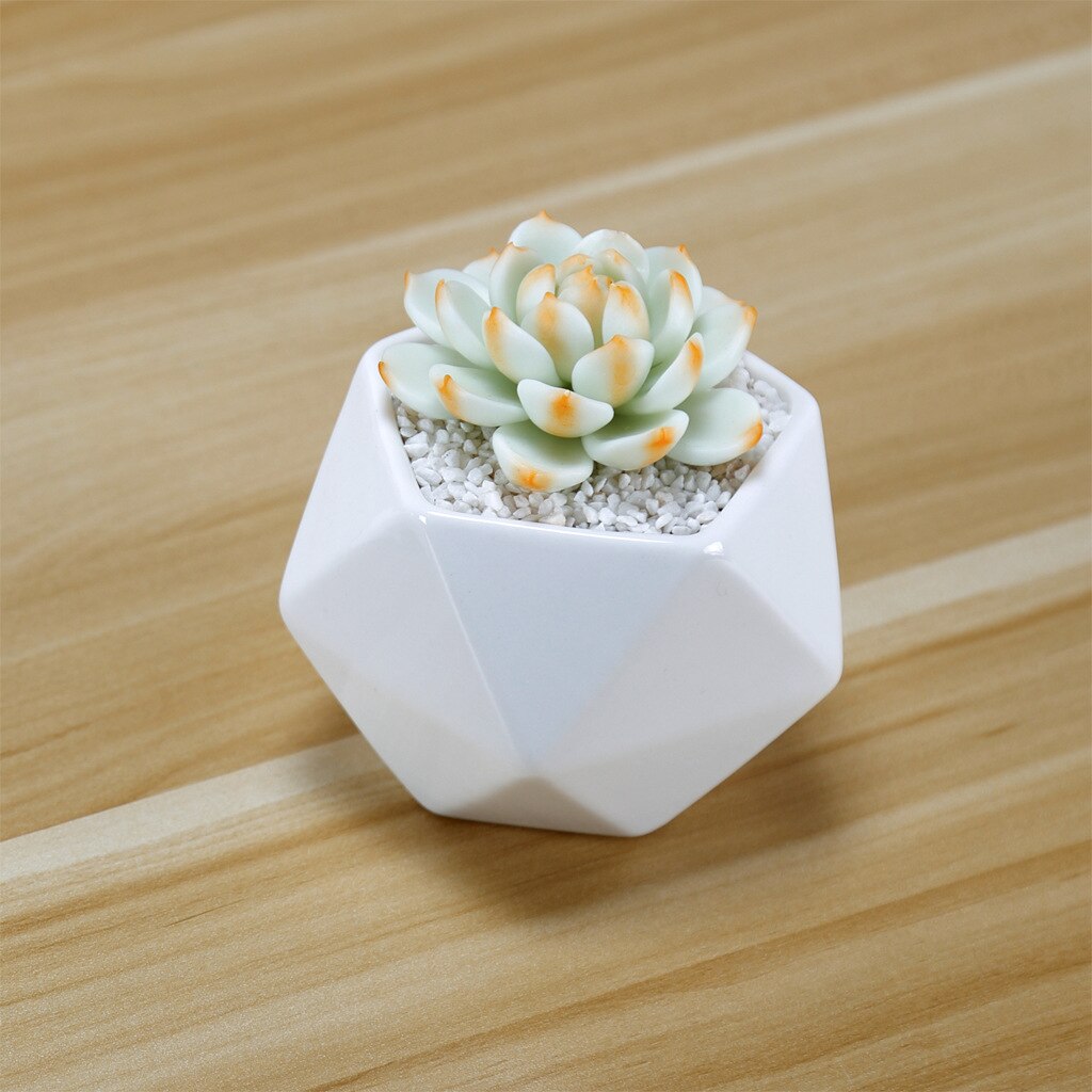 Maceta de flores suculentas de pentagonal con costura triangular de cerámica blanca creativa, maceta casera para Cactus Lithop con maceta de agujero inferior