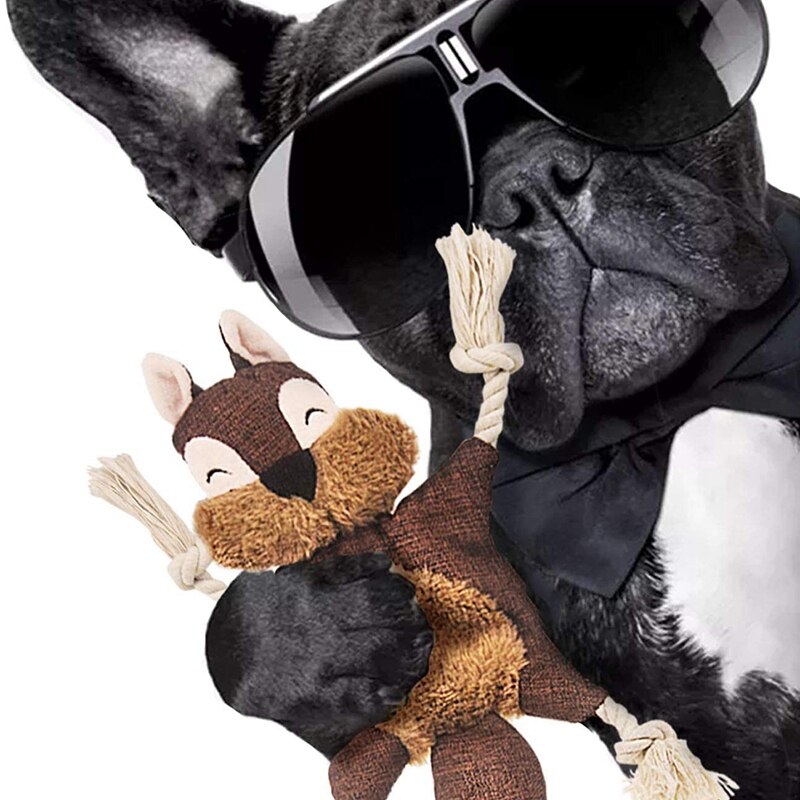 Stuffless Dog Toys for Puppy, Crinkle Squeaky Dog Chew Toys Squirrel Plush Dog Toy with Rope Knots for Small Dogs